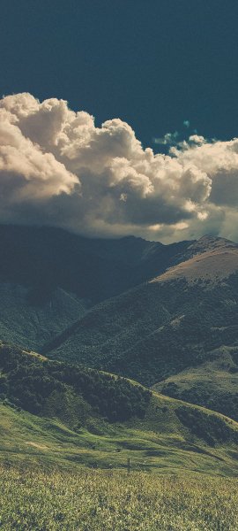 adapted 1080x2400 1754558239