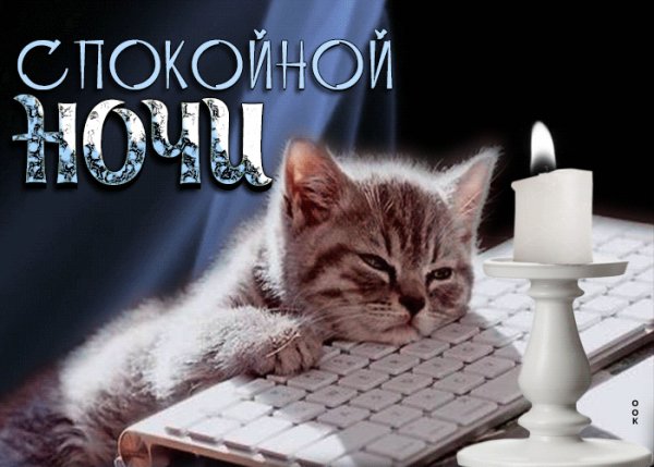 file_99068144