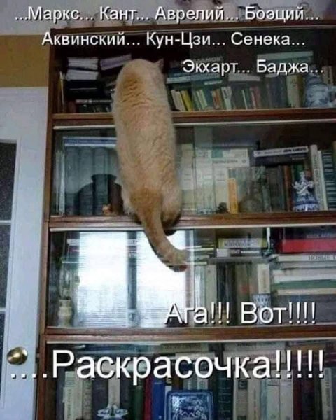 FB IMG 1757437138137