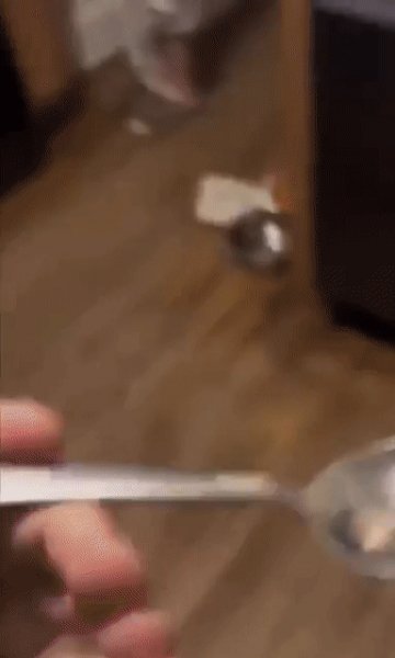 IMG 20230606 194122