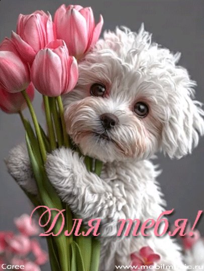 file_99155891