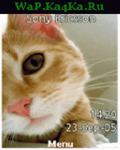 file_4349540