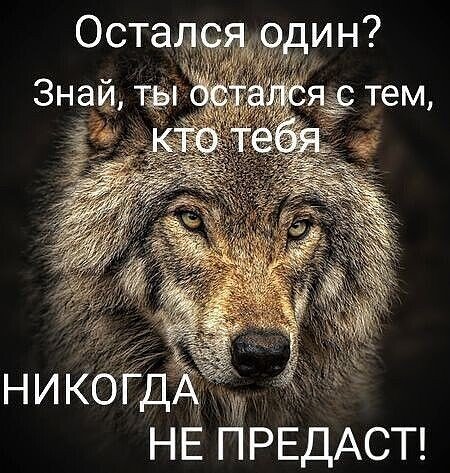 IMG 20250822 221856