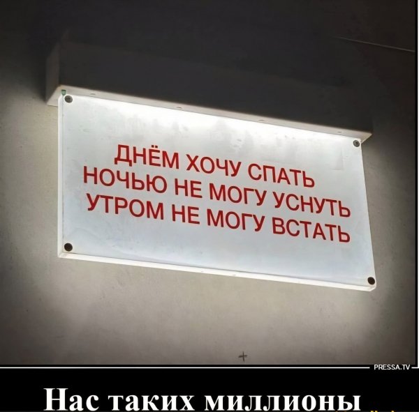 FB IMG 1757437343631