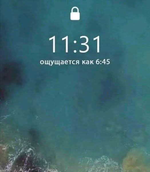 FB IMG 1757323535884