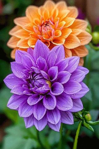 file_99196854