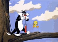 Sylvester-looney-tunes