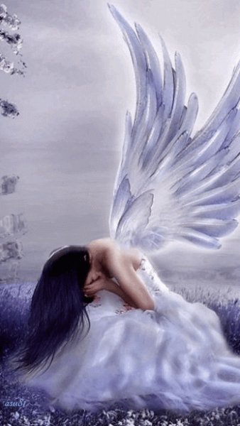 orig (1)