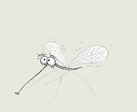 Flight