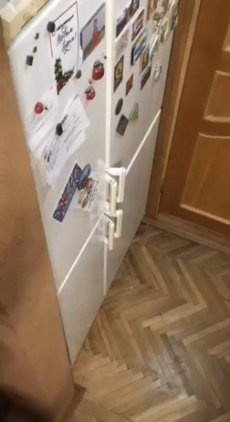 IMG 20230725 090535