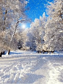 file_44832486