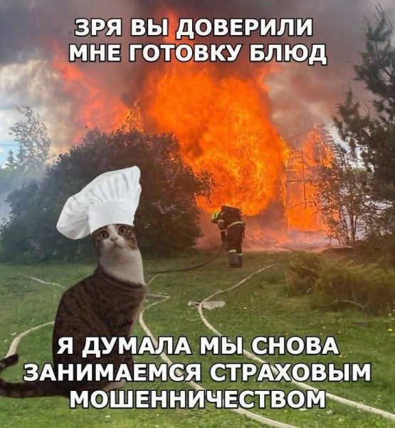 FB IMG 1757358073214