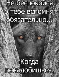 2a2b598477a79b70a5ff720b79b20340