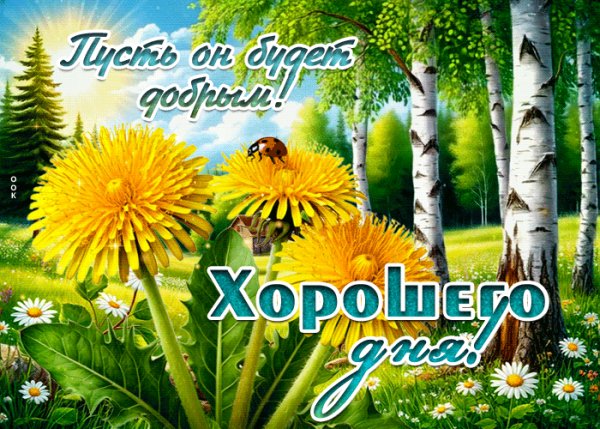 file_99985529