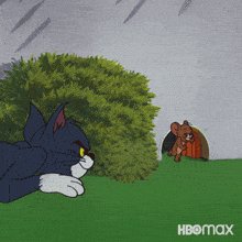 Tom-&amp;-jerry