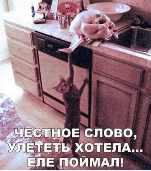 FB IMG 1757350050051