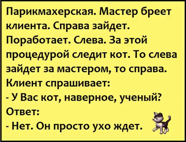 IMG 20220807 051057