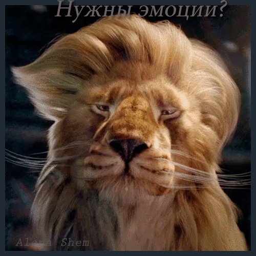 Анимированная открытка улёт