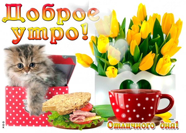 file_99095988