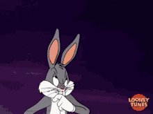 Bugs-bunny-looney-tunes (1)