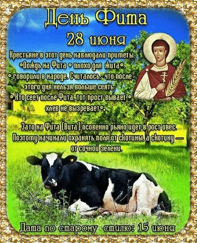 Анимированная открытка день фита