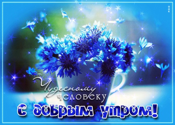 file_99182631