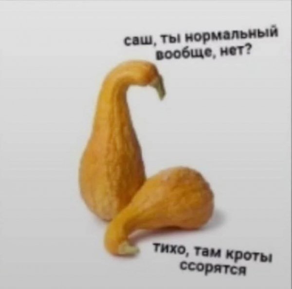 FB IMG 1757436971607