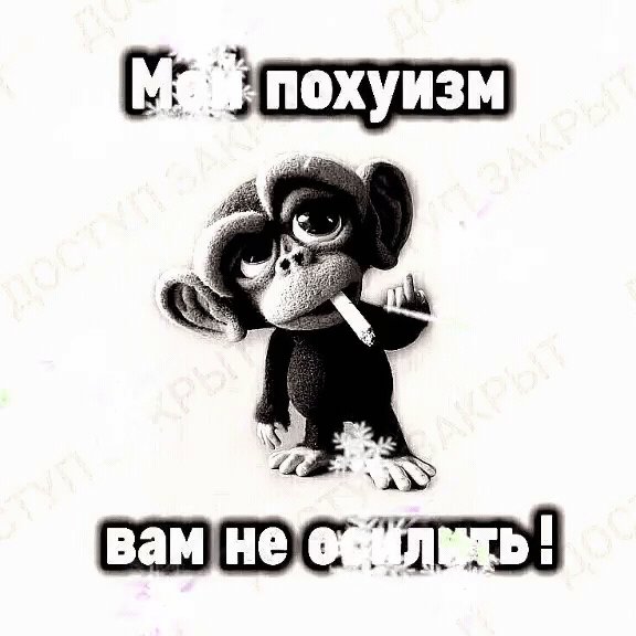 IMG 20230815 093301
