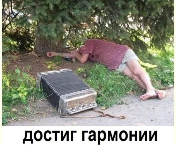 file_100672648