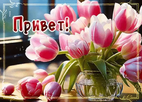 IMG 20250322 000659