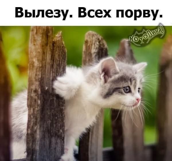 FB IMG 1757437054843