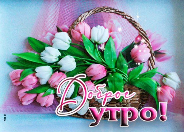file_99182629