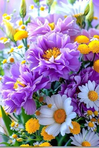 file_99269224