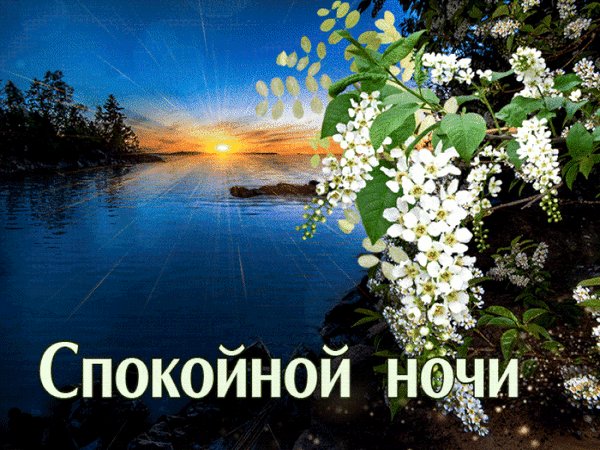 Анимированная открытка спокойной ночи (21)