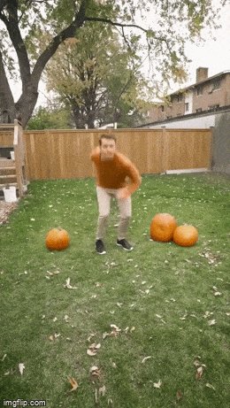 Фрукты