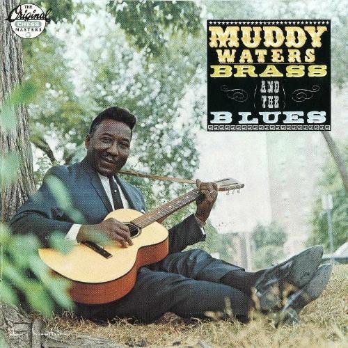 Muddy Waters - Trouble