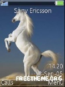 white horse