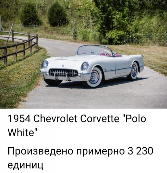 file_99994959