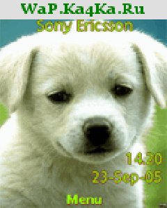 file_4346612