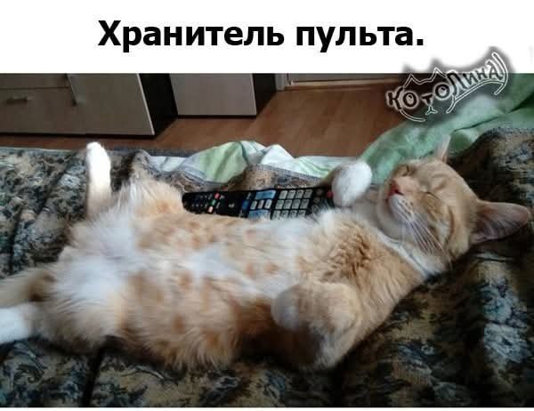 FB IMG 1757357982402