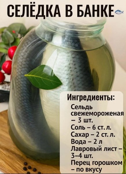 IMG 20250824 164646