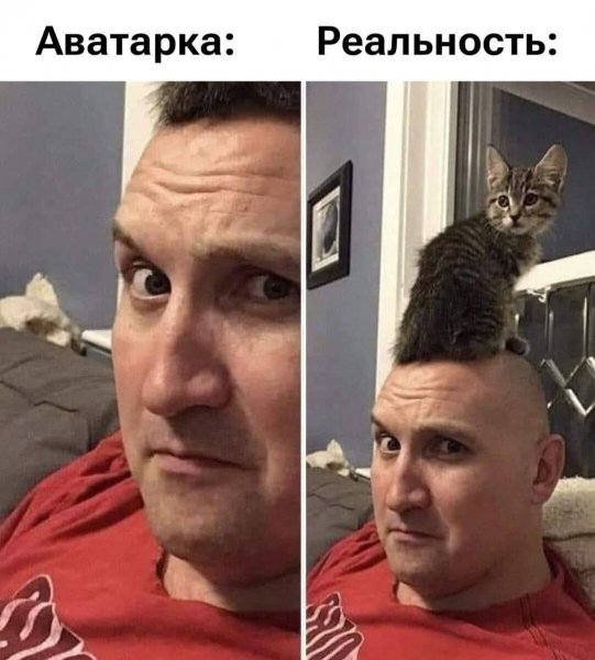 FB IMG 1757349828756