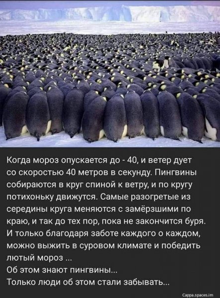 LJ3UtQYMzBQ-