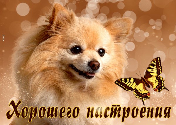file_98847213
