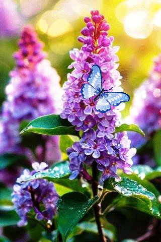 file_99993022