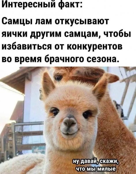 file_100735199