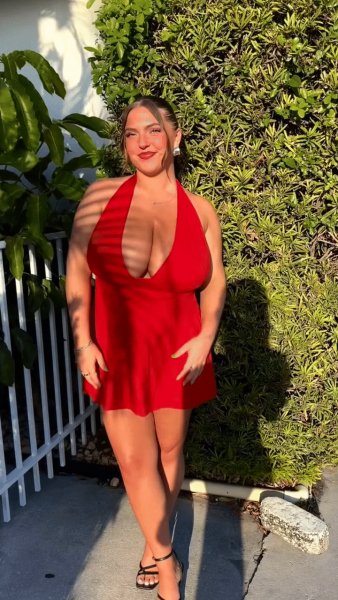 picture_384038513