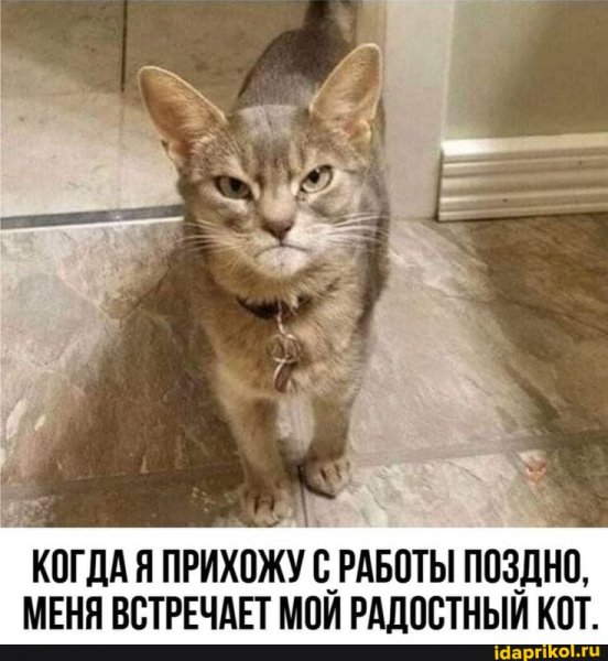 e5fdb2d3c8f23e63d8acd3a31ab54ac24ccd2e8ac 1