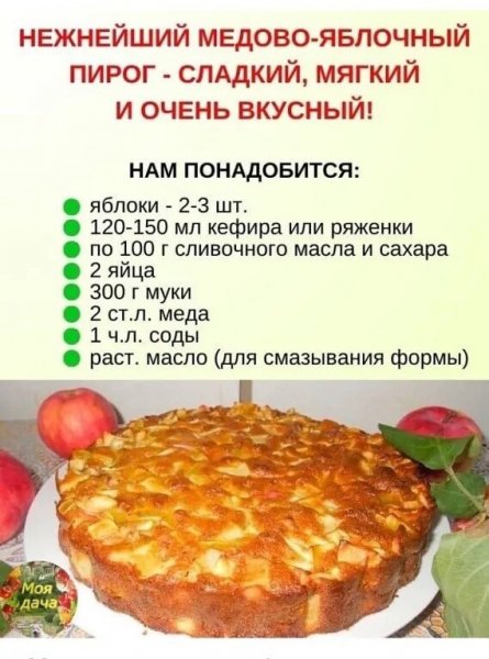 IMG 20250826 095348