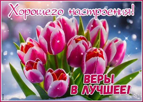 file_99082922
